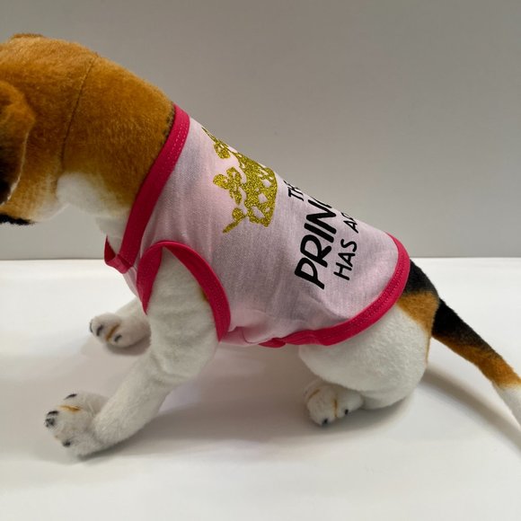 "The Princess Has Arrived" Pet T-shirt - Pink/Gold - NWT - Various Sizes - Picture 4 of 8